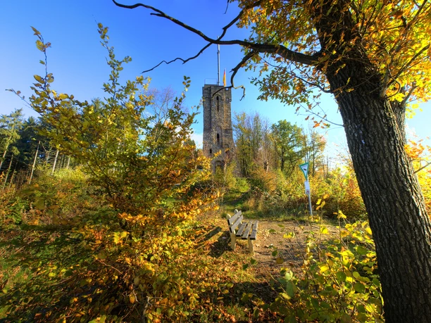 Haldyturm im Herbst Herbstlicher Waldweg führt zu einem alten Steinturm, umgeben von buntem Laub und einem sonnigen Himmel.
