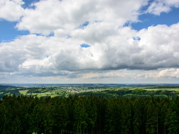 Weitblick vom Turm aus Blick über dichten Nadelwald bei klarer Sicht mit weitreichendem Blick auf Felder und Berge im Hintergrund.