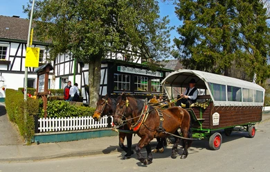Planwagen Zwei Pferde ziehen eine von Menschen befahrene, historische Kutsche vor einer Fachwerkhäuserzeile.