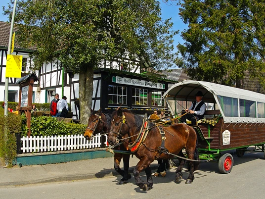 Planwagen Zwei Pferde ziehen eine von Menschen befahrene, historische Kutsche vor einer Fachwerkhäuserzeile.