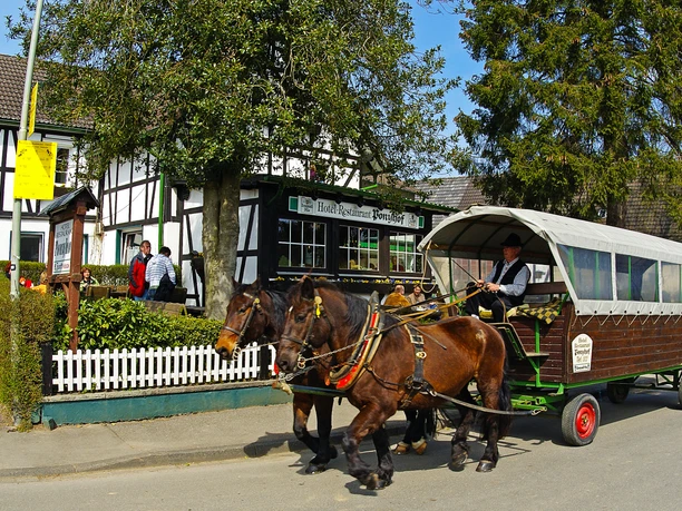 Planwagen Zwei Pferde ziehen eine von Menschen befahrene, historische Kutsche vor einer Fachwerkhäuserzeile.