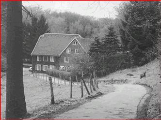 Mediendatei Schwarzweiß-Foto eines traditionellen Waldbauernhauses mit steilem Satteldach am Rande eines Waldwegs.