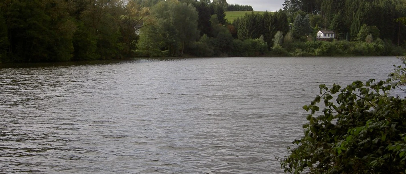 Mediendatei See mit ruhigem Wasser, umgeben von dicht bewaldeten Ufern und einem kleinen Haus am Hang.
