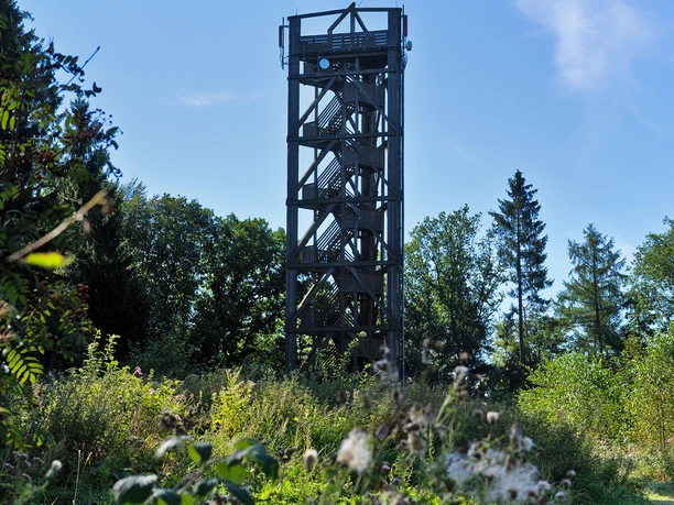 Aussichtsturm Auf dem Knollen Ein hölzerner Aussichtsturm ragt inmitten von Bäumen empor, umgeben von blühenden Wiesen.