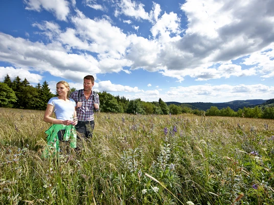 Bergwiesenportal Hohegeiß