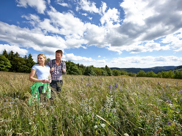 Bergwiesenportal Hohegeiß