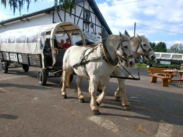 Pferdehof Hacke Zwei weiße Pferde ziehen eine überdachte Kutsche auf einer ländlichen Straße nahe einem Fachwerkhaus.