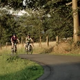 Schwalbe Fahrradpark Zwei Radfahrer radeln auf einem schmalen, kurvigen Weg, gesäumt von Bäumen und Wiesen.