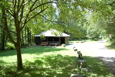 Grillhütte Windfus Ein hölzerner Pavillon steht in einem sonnigen Waldstück. Ein Pfad führt durch die grüne Landschaft.
