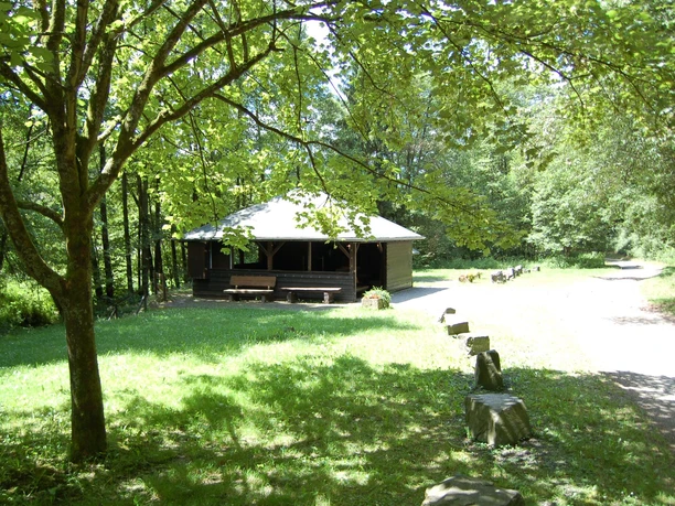 Grillhütte Windfus Ein hölzerner Pavillon steht in einem sonnigen Waldstück. Ein Pfad führt durch die grüne Landschaft.