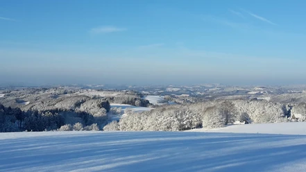 Wintersportgebiet Verschneite Hügel und Wälder in Oberösterreich erstrecken sich unter klarem, blauen Winterhimmel.