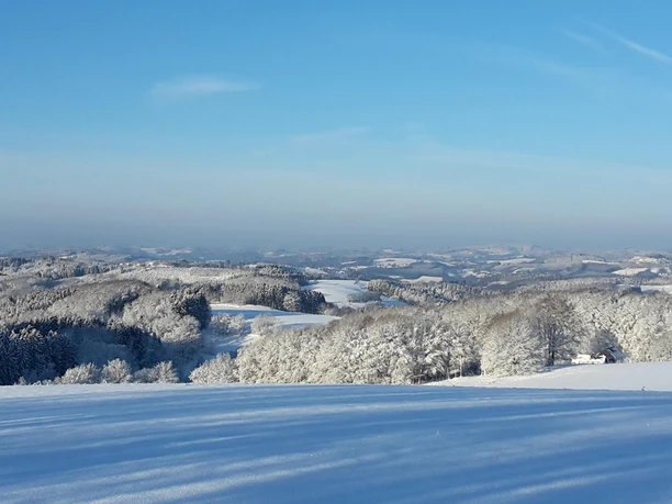 Wintersportgebiet Verschneite Hügel und Wälder in Oberösterreich erstrecken sich unter klarem, blauen Winterhimmel.