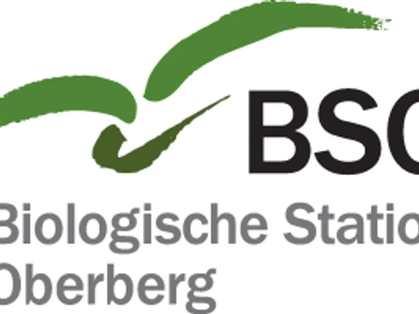 Logo Biologische Station Logo der Biologischen Station Oberberg mit grünem Vogelmotiv über den Initialen "BSO".