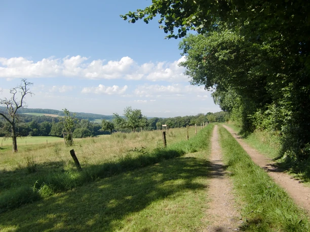 Wanderweg im Dorf Benroth Ein landschaftlicher Wanderweg in Nümbrecht, gesäumt von Bäumen, mit Blick auf Wiesen und ein Tal.