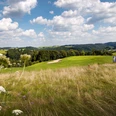 Golfplatz Grüne Hügel mit Golfplatz unter blauem Himmel und Wolken, umrahmt von wildem, blühendem Gras.