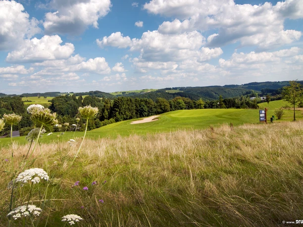 Golfplatz Grüne Hügel mit Golfplatz unter blauem Himmel und Wolken, umrahmt von wildem, blühendem Gras.