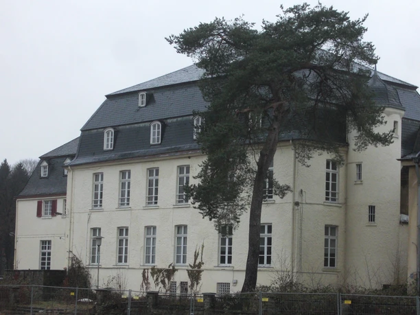 Haus Venauen, Rückansicht Schlossartiges Gebäude mit mehreren Etagen, schiefergedecktem Dach und danebenstehendem Pinienbaum.