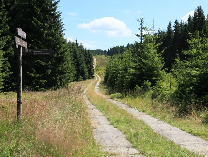 Harzer Grenzweg, Kolonnenweg