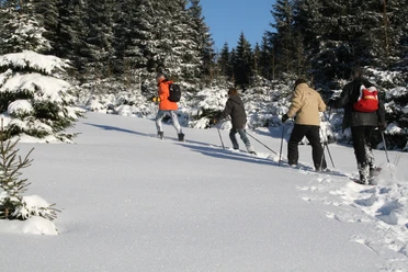 Schneeschuhwandern Harz Vital & Aktiv