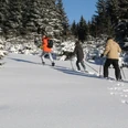 Schneeschuhwandern Harz Vital & Aktiv