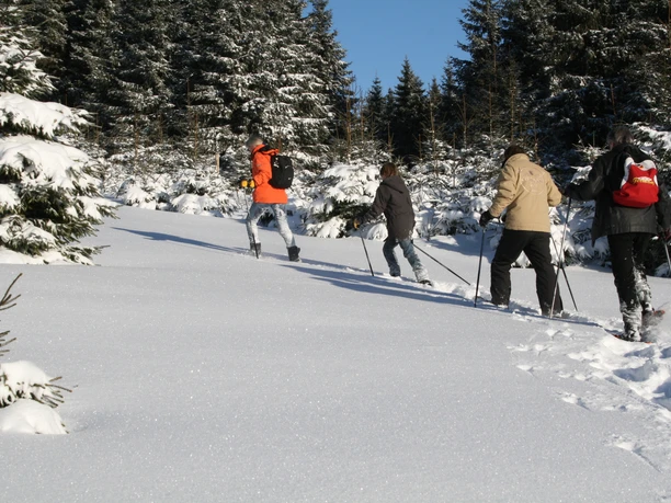 Schneeschuhwandern Harz Vital & Aktiv