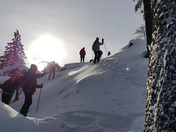 Schneeschuhwandern Harz Vital & Aktiv
