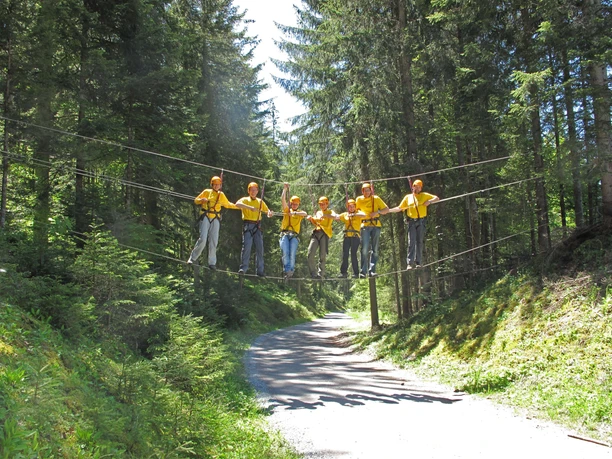 A rope bridge is stretched across a road between trees; seven people are standing on it