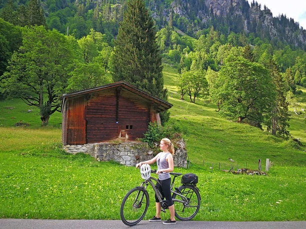 e-bike-diemtigtal-meniggrund-wald-sommer