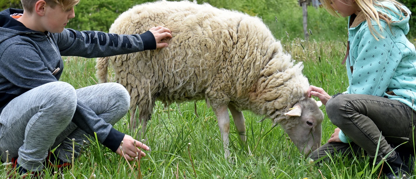 Heinz-Sielmann-Stiftung, Natur-Erlebniszentrum