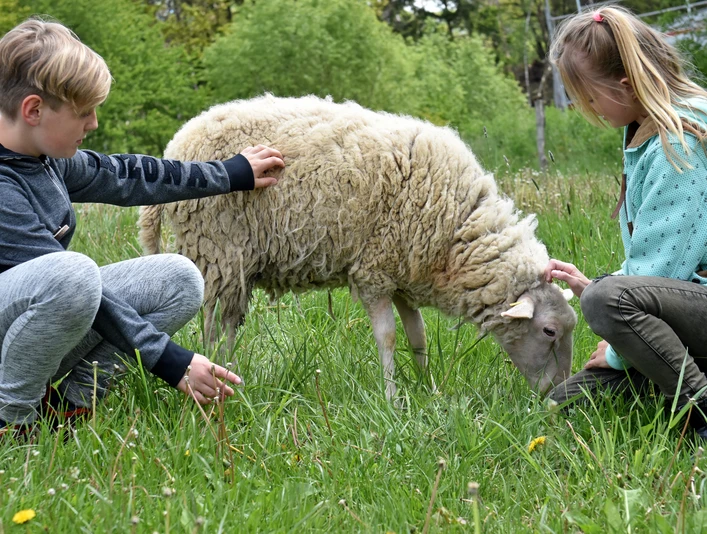 Heinz-Sielmann-Stiftung, Natur-Erlebniszentrum