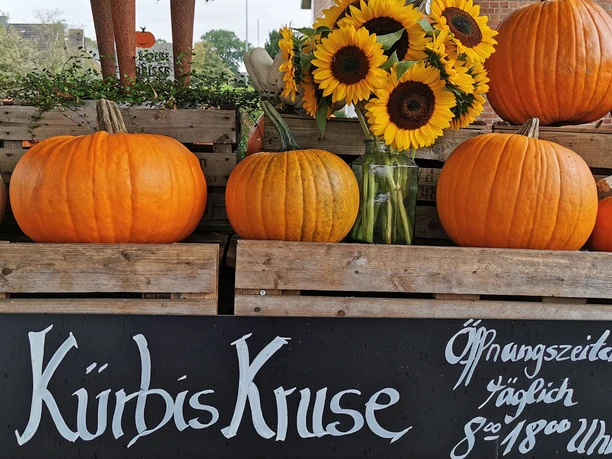 Kürbishof Kruse