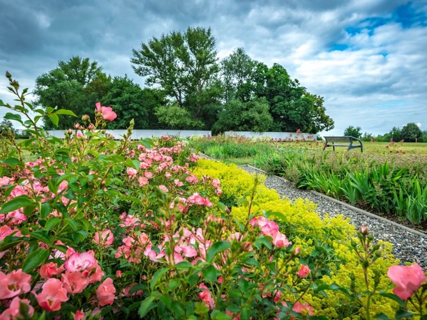 Blütenornament vor dem Zauberwäldchen im Bürgerpark