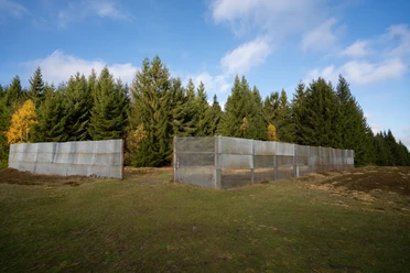 Grenzzaun in Sorge