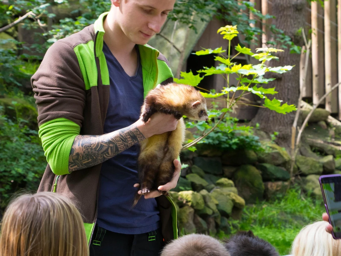 Grünes Klassenzimmer Tiergarten Halberstadt