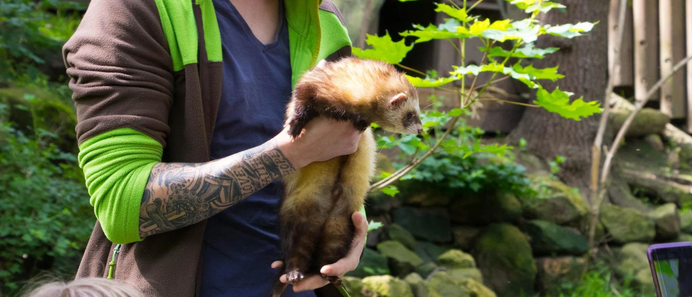 Grünes Klassenzimmer Tiergarten Halberstadt