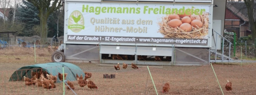 Freilaufende Hühner vor dem Areal des Hofladens Hagemann in Salzgitter-Engelnstedt