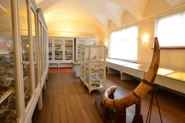 Paläontologische Sammlung Museum-Aschersleben