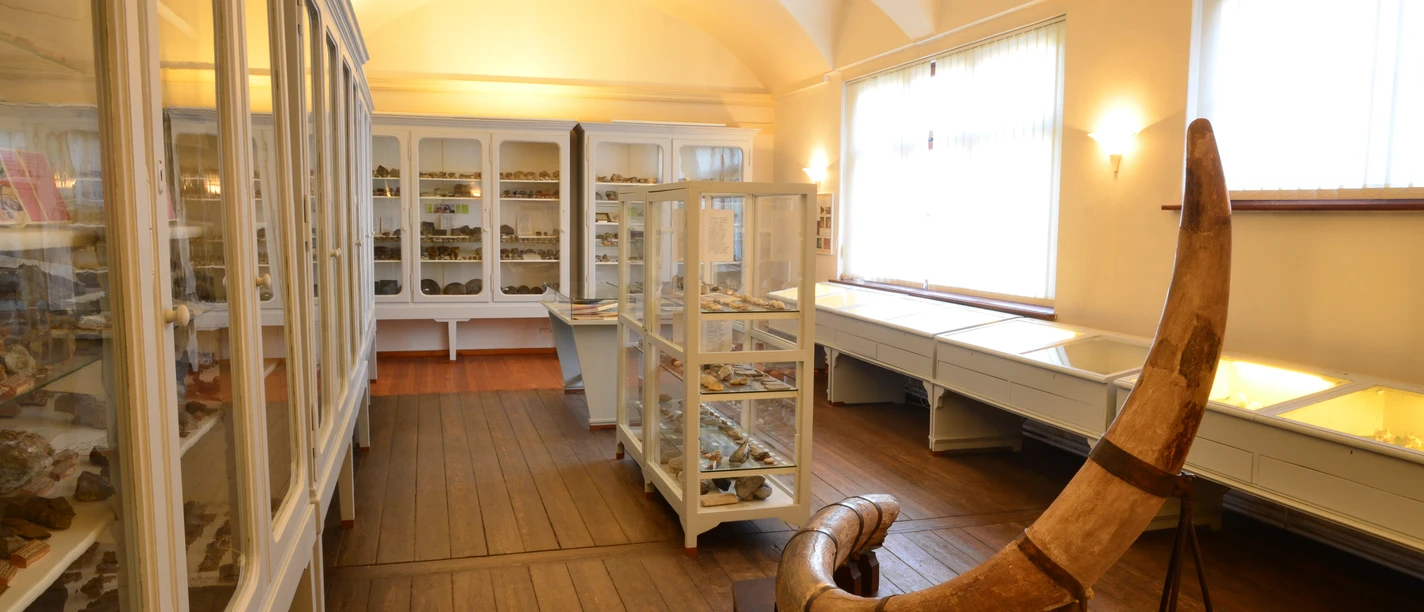 Paläontologische Sammlung Museum-Aschersleben