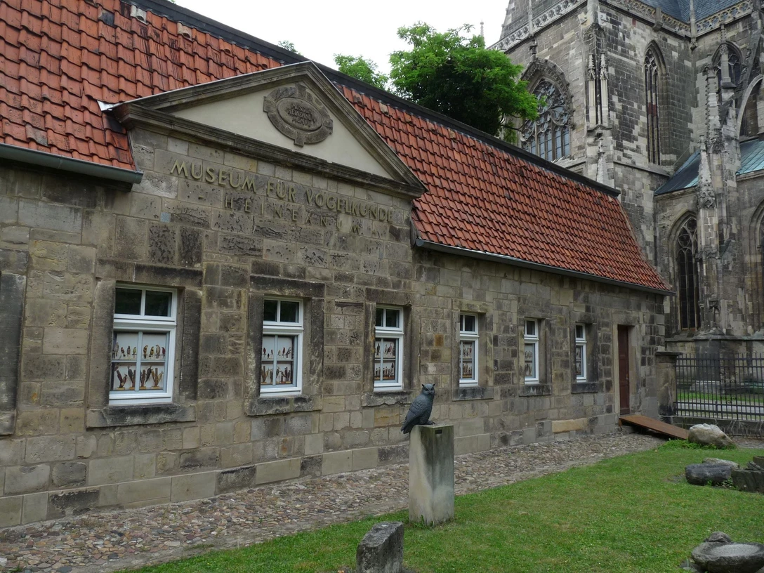Außenansicht Museum Heineanum