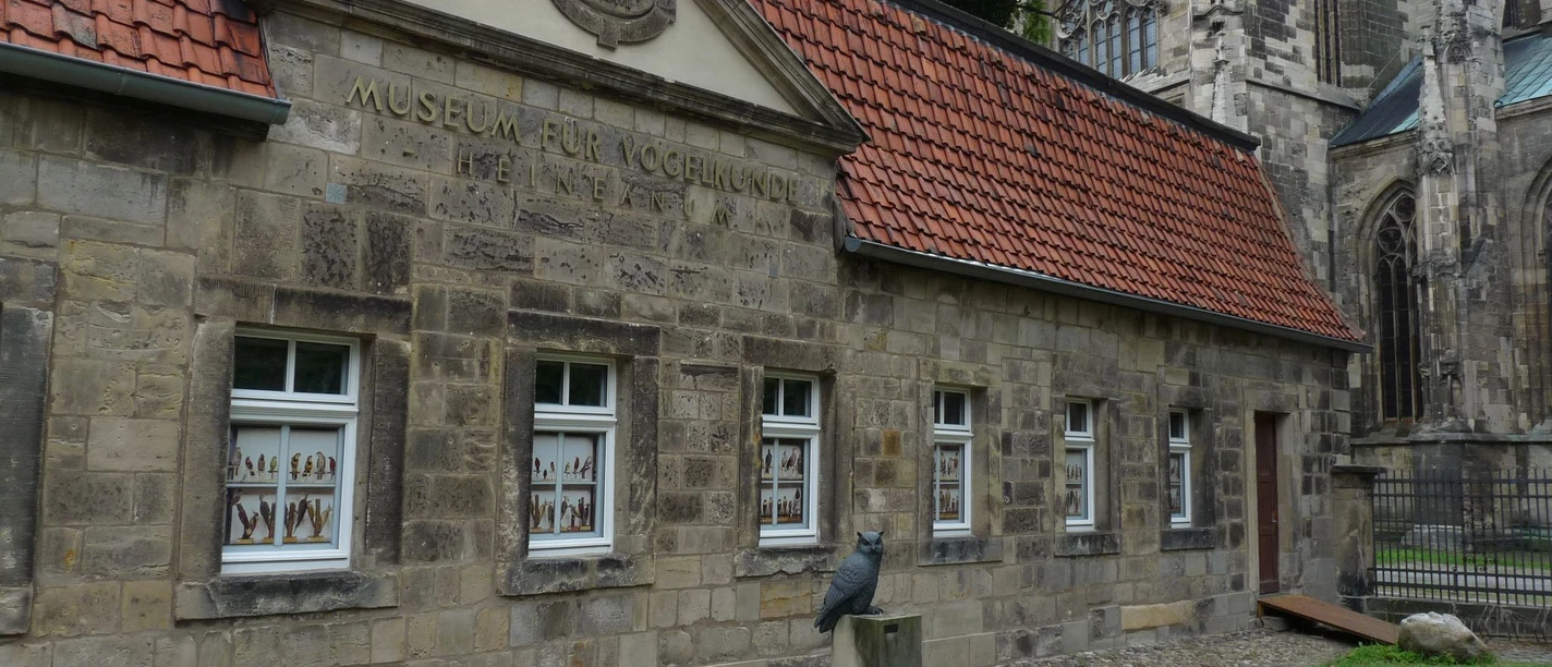 Außenansicht Museum Heineanum