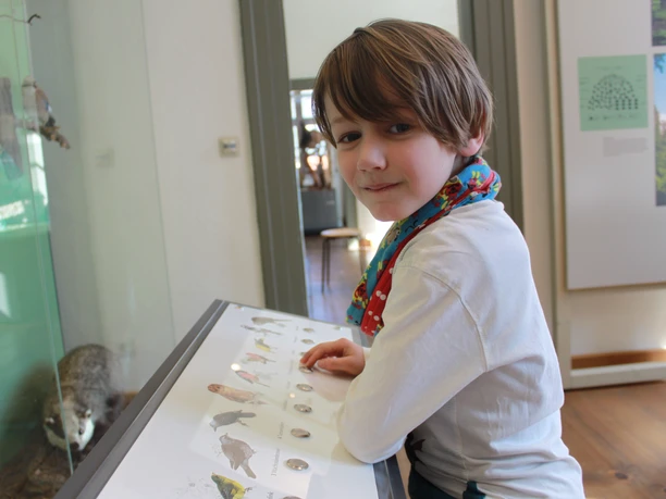 Harzmuseum Wernigerode