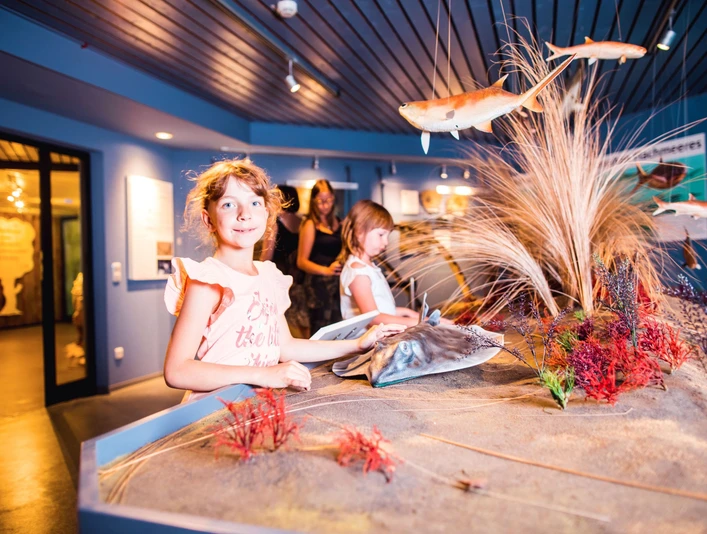 Naturzeitmuseum Meeresboden Naturzeitmuseum Meeresboden