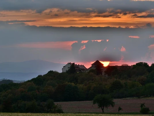 Blick auf die Konradsburg