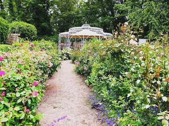 Rosengarten am Rosenschloss Neuenstein