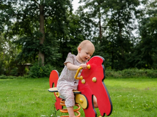 Wasserspielplatz Efze Wiesen - Wippetier