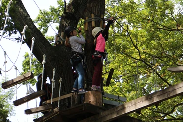 Kletterwald