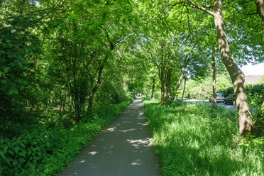 Rad_Tour_Moorweg-25.jpg