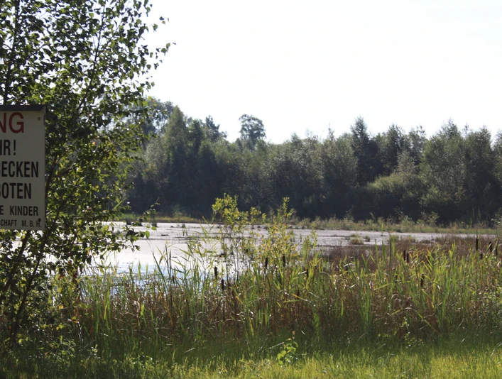 Der Moorweg in Bad Zwischenahn (12).JPG Blick auf den ruhigen Moorweg umgeben von dichtem Wald und klaren Wasserflächen in Bad Zwischenahn.