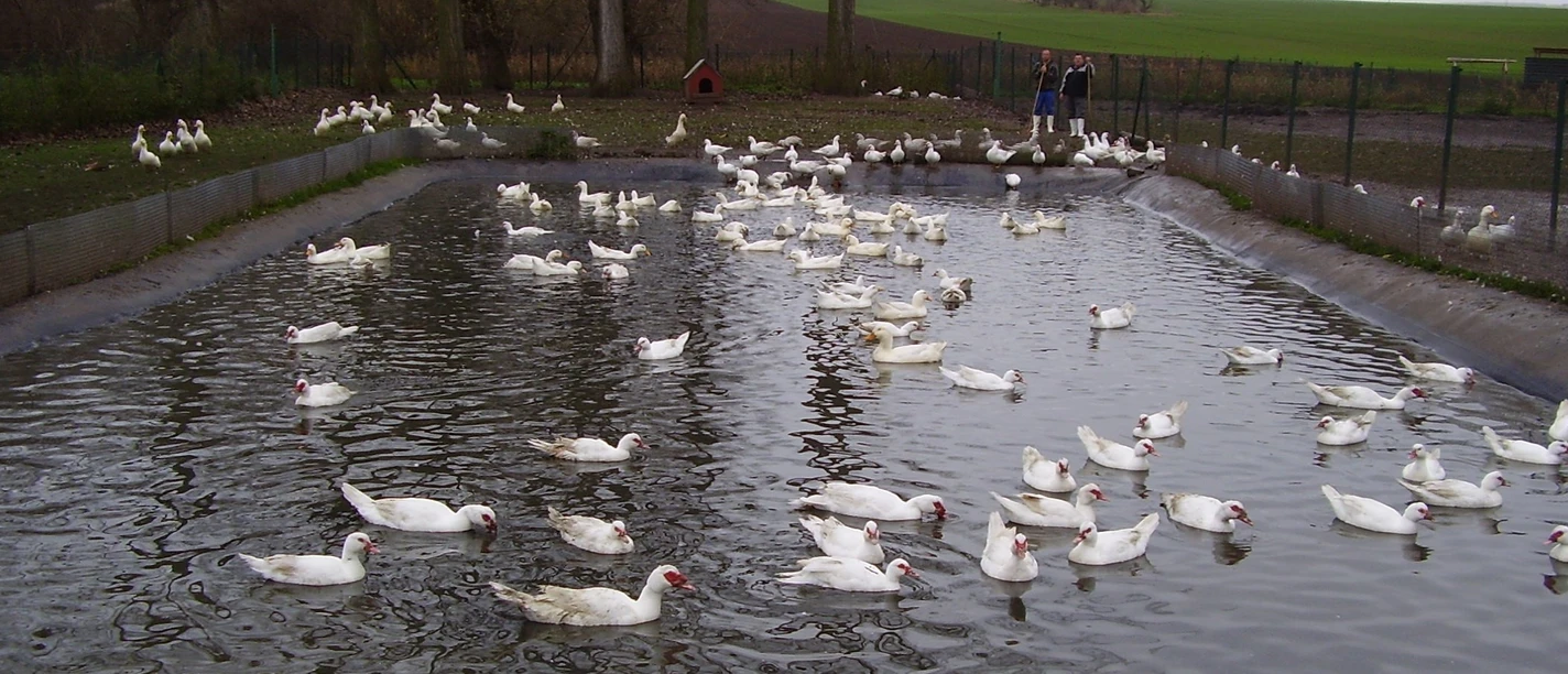 Naturlandhof Schlanstedt