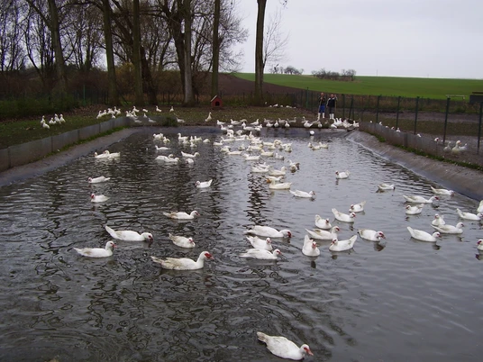 Naturlandhof Schlanstedt